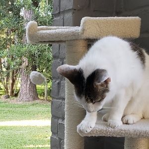 Meet your Posher, Yuliya